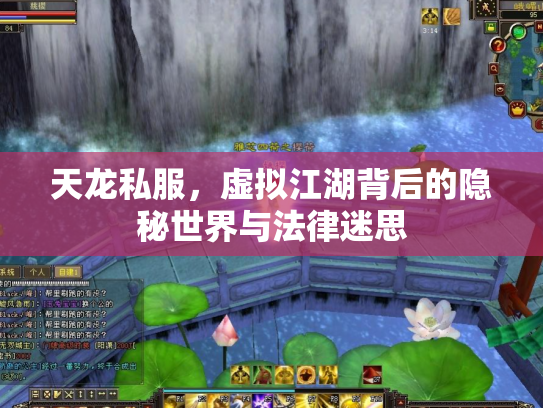 天龙私服，虚拟江湖背后的隐秘世界与法律迷思
