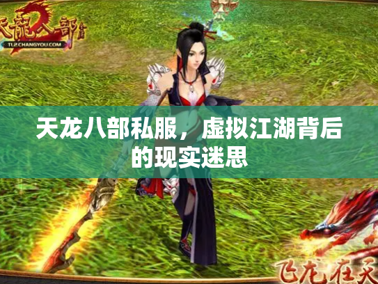 天龙八部私服，虚拟江湖背后的现实迷思