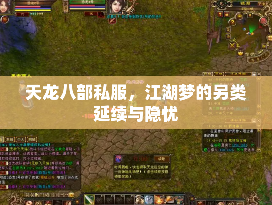 天龙八部私服，江湖梦的另类延续与隐忧