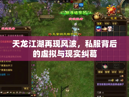 天龙江湖再现风波，私服背后的虚拟与现实纠葛