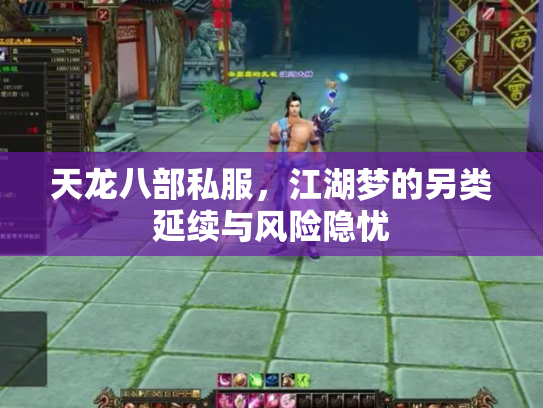 天龙八部私服，江湖梦的另类延续与风险隐忧