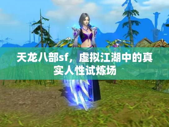 天龙八部sf，虚拟江湖中的真实人性试炼场