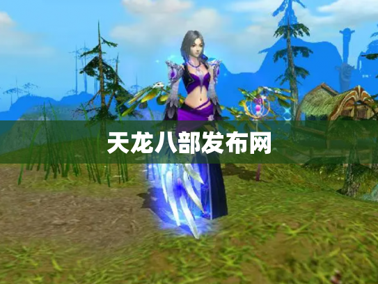 天龙八部发布网