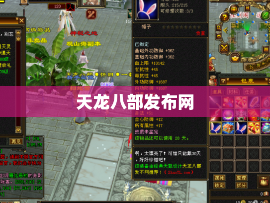 天龙八部发布网