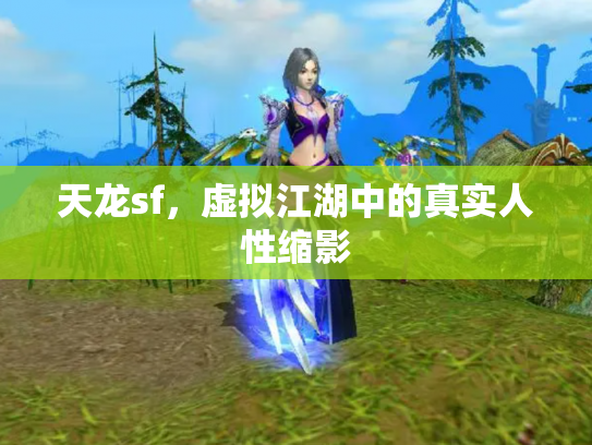 天龙sf，虚拟江湖中的真实人性缩影