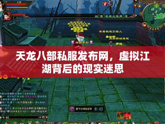天龙八部私服发布网，虚拟江湖背后的现实迷思