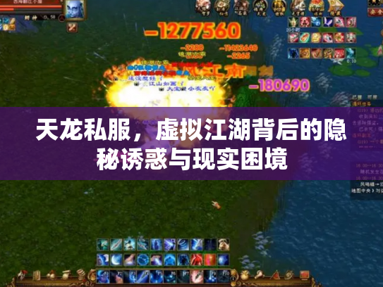 天龙私服，虚拟江湖背后的隐秘诱惑与现实困境