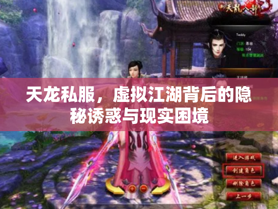 天龙私服，虚拟江湖背后的隐秘诱惑与现实困境