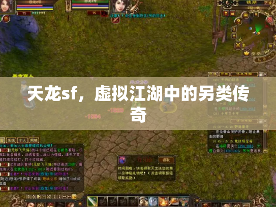 天龙sf，虚拟江湖中的另类传奇