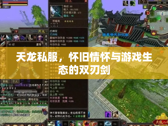 天龙私服，怀旧情怀与游戏生态的双刃剑