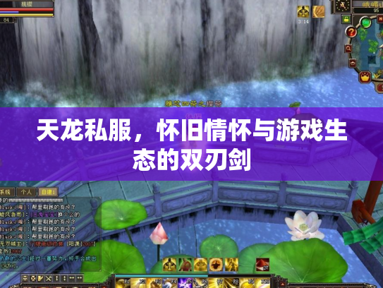 天龙私服，怀旧情怀与游戏生态的双刃剑