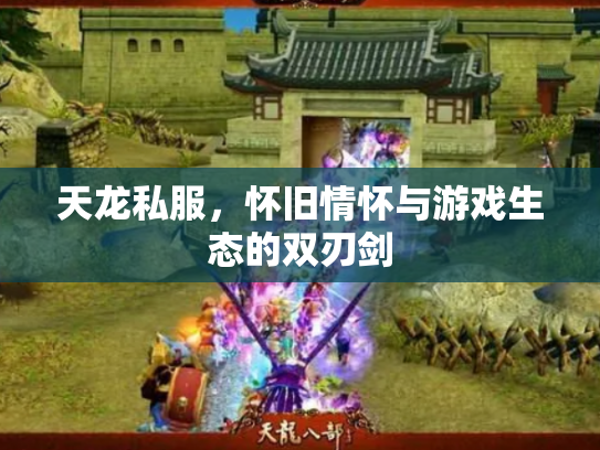 天龙私服，怀旧情怀与游戏生态的双刃剑