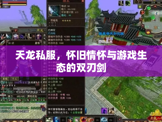 天龙私服，怀旧情怀与游戏生态的双刃剑