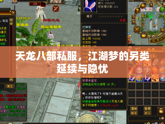 天龙八部私服，江湖梦的另类延续与隐忧