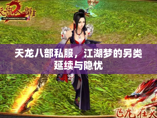 天龙八部私服，江湖梦的另类延续与隐忧