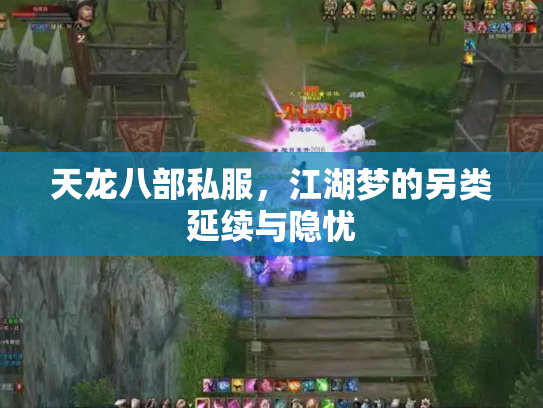 天龙八部私服，江湖梦的另类延续与隐忧