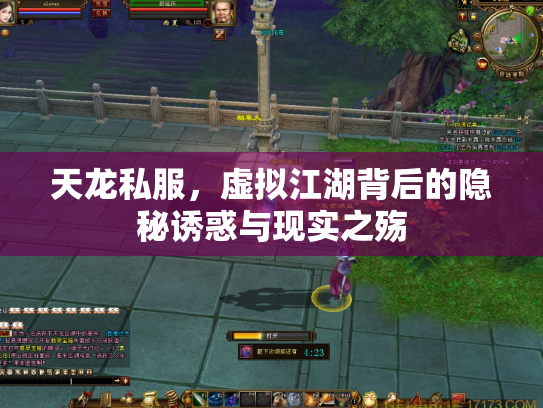 天龙私服，虚拟江湖背后的隐秘诱惑与现实之殇