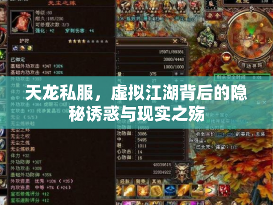 天龙私服，虚拟江湖背后的隐秘诱惑与现实之殇