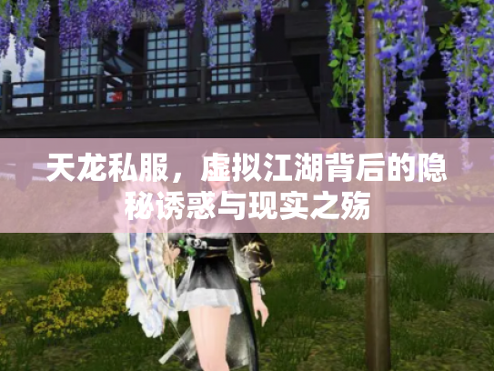天龙私服，虚拟江湖背后的隐秘诱惑与现实之殇
