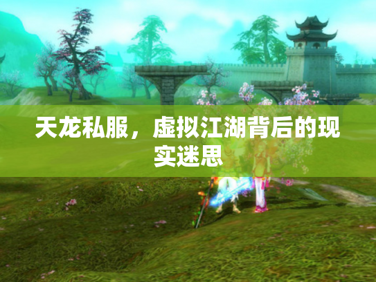 天龙私服，虚拟江湖背后的现实迷思