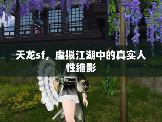 天龙sf，虚拟江湖中的真实人性缩影