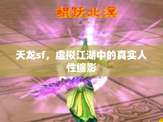 天龙sf，虚拟江湖中的真实人性缩影