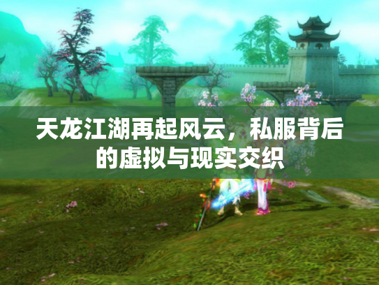 天龙江湖再起风云，私服背后的虚拟与现实交织