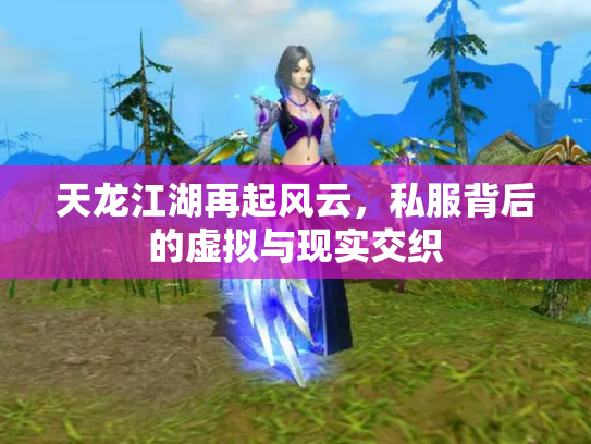 天龙江湖再起风云，私服背后的虚拟与现实交织