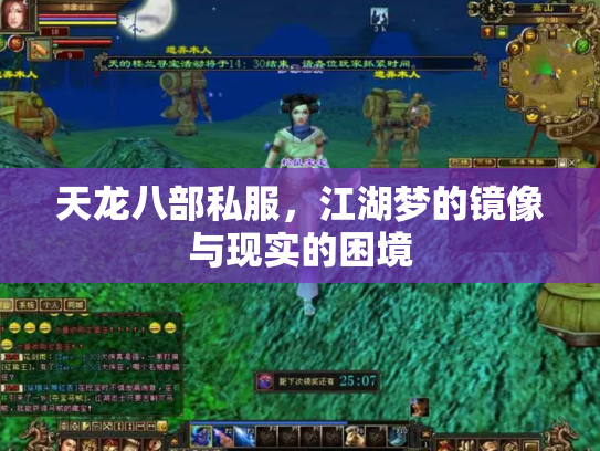 天龙八部私服，江湖梦的镜像与现实的困境