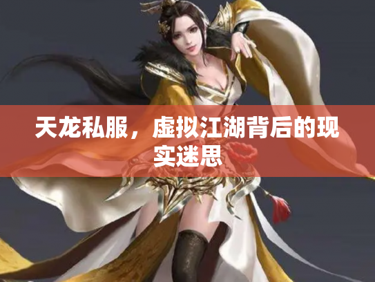 天龙私服，虚拟江湖背后的现实迷思