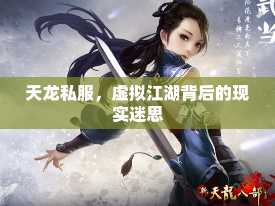 天龙私服，虚拟江湖背后的现实迷思