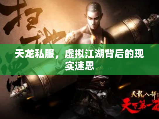 天龙私服，虚拟江湖背后的现实迷思