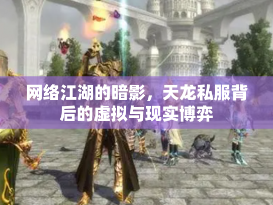 网络江湖的暗影，天龙私服背后的虚拟与现实博弈