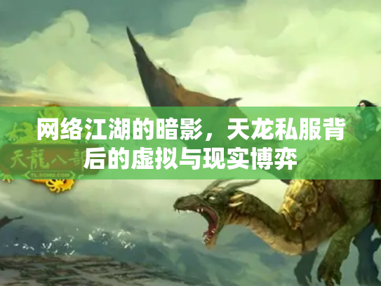 网络江湖的暗影，天龙私服背后的虚拟与现实博弈