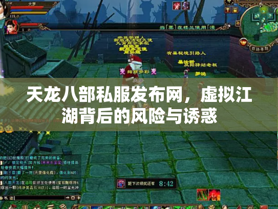天龙八部私服发布网，虚拟江湖背后的风险与诱惑