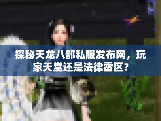 探秘天龙八部私服发布网，玩家天堂还是法律雷区？