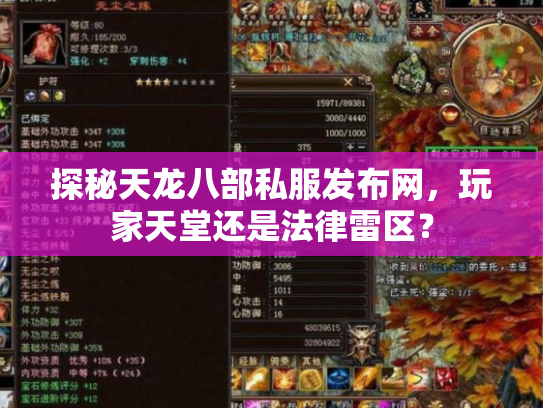 探秘天龙八部私服发布网，玩家天堂还是法律雷区？
