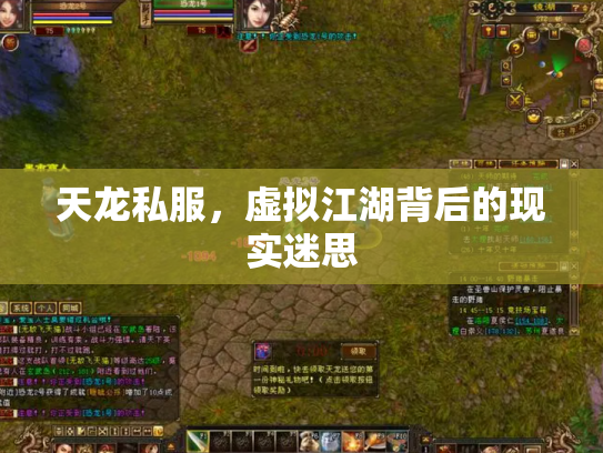 天龙私服，虚拟江湖背后的现实迷思