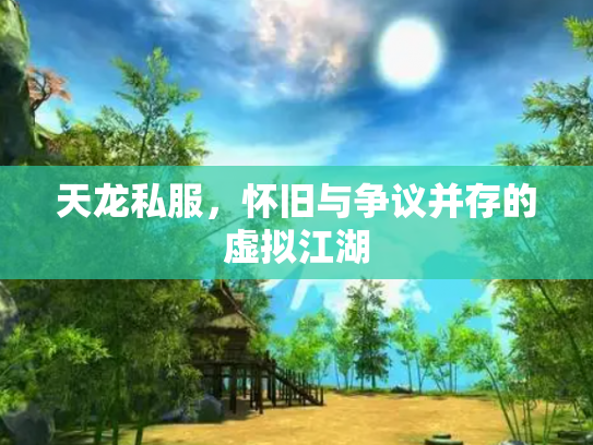 天龙私服，怀旧与争议并存的虚拟江湖