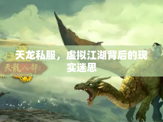 天龙私服，虚拟江湖背后的现实迷思