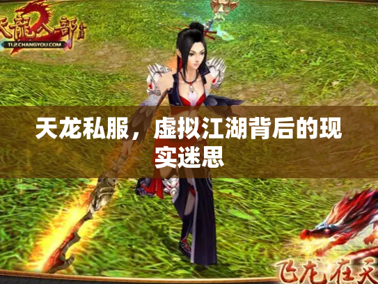 天龙私服，虚拟江湖背后的现实迷思
