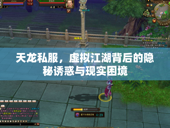 天龙私服，虚拟江湖背后的隐秘诱惑与现实困境