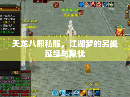 天龙八部私服，江湖梦的另类延续与隐忧