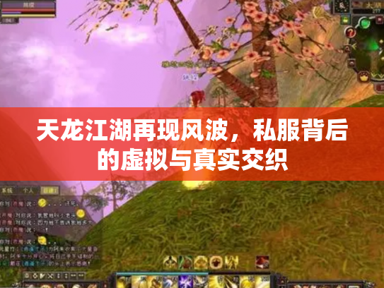 天龙江湖再现风波，私服背后的虚拟与真实交织