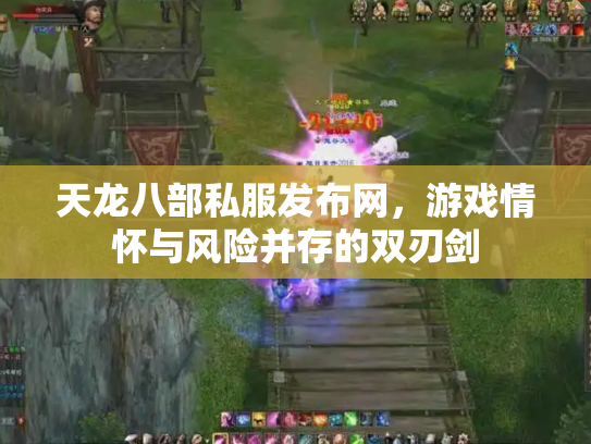 天龙八部私服发布网，游戏情怀与风险并存的双刃剑
