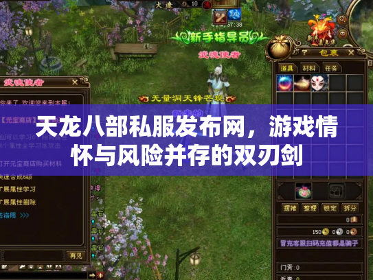 天龙八部私服发布网，游戏情怀与风险并存的双刃剑