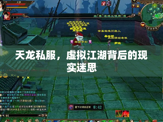 天龙私服，虚拟江湖背后的现实迷思