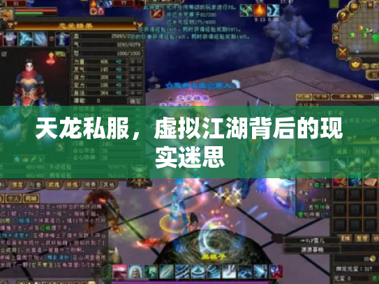 天龙私服，虚拟江湖背后的现实迷思
