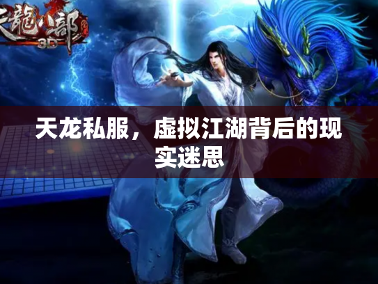 天龙私服，虚拟江湖背后的现实迷思