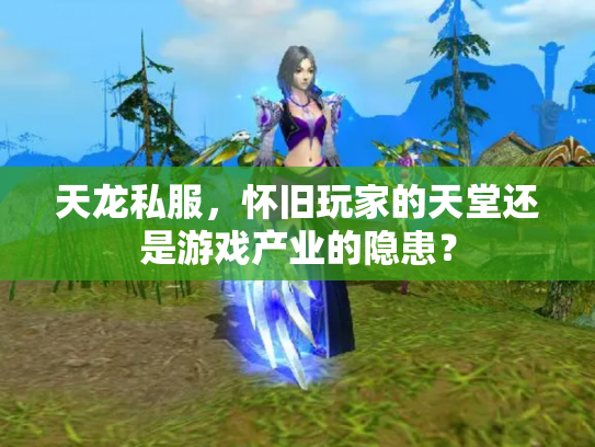 天龙私服，怀旧玩家的天堂还是游戏产业的隐患？
